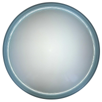 Настенно-потолочный светильник Toplight TL1128-1Y