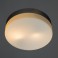 Потолочный светильник Arte Lamp A3211PL-2SI