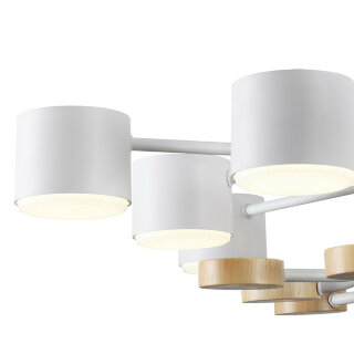 Светильник потолочный Lumion Rondo 8196/10C