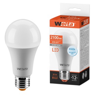 Лампа WOLTA Led 25W67BL25E27 25Вт 6500К E27 (654) (Уценка)