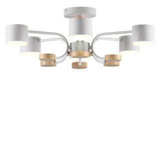 Светильник потолочный Lumion Rondo 8231/6C