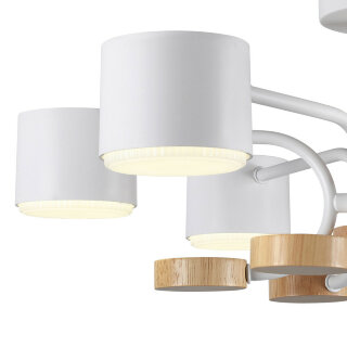 Светильник потолочный Lumion Rondo 8231/6C