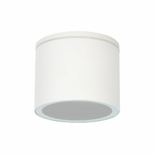 Уличный потолочный светильник Arte Lamp PIAUTOS A1913PF-1WH
