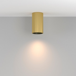 Светильник накладной Maytoni C106CL-01-GU10-BS