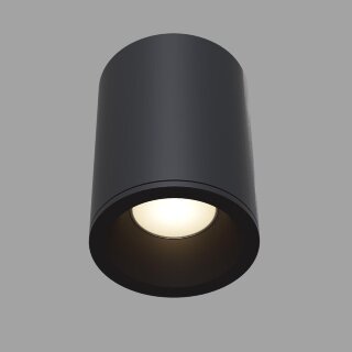 Светильник накладной Maytoni C029CL-01B IP54