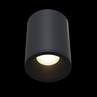 Светильник накладной Maytoni C029CL-01B IP54