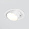 Потолочный светодиодный светильник Elektrostandard 9919 LED 10W 3000K белый