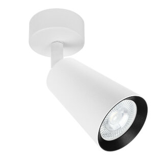 Светильник накладной ARTELAMP A2352PL-1WH