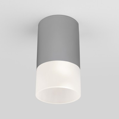 Светильник накладной 35139/H Light LED 2106 серый IP65