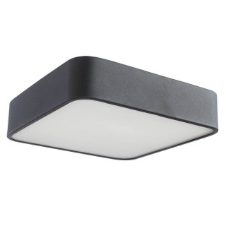 Потолочный светильник ARTELAMP A7210PL-2BK Cosmopolitan
