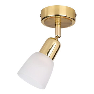 Спот ESCADA 5039/1PA E14*40W Gold/White