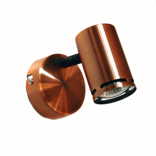 Спот AURA MX8766-01/P502 RAB