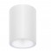 Donolux Светильник накладной гипсовый, белый D 110 H 136 мм, галог. лампа GU10,DL230G