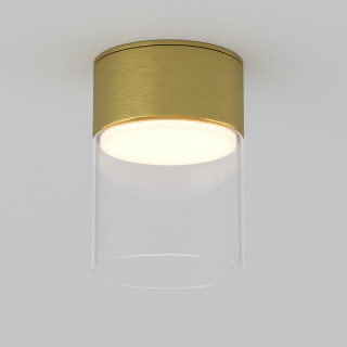 Светильник накладной Maytoni C094CL-GX53-BS IP44