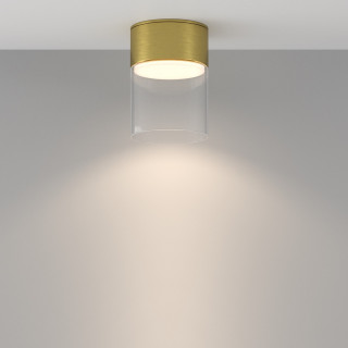 Светильник накладной Maytoni C094CL-GX53-BS IP44