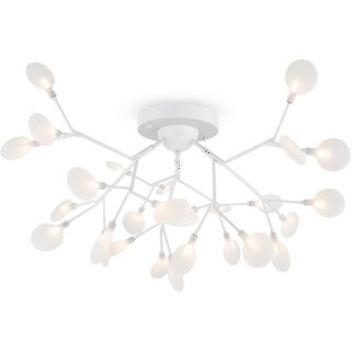 Потолочная люстра Freya Florencia FR5049CL-27W2