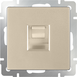 Werkel Розетка интернет 1-ая RJ-45 Шампань W1181011 (WL11-RJ-45)