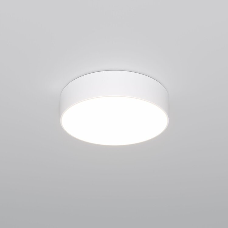 Потолочный светильник Eurosvet 90318/1 белый