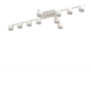 Светильник потолочный Lumion Benua 8303/10C