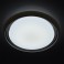 Потолочный светильник МВ-ЛАЙТ  674011901 Ривз (пульт)