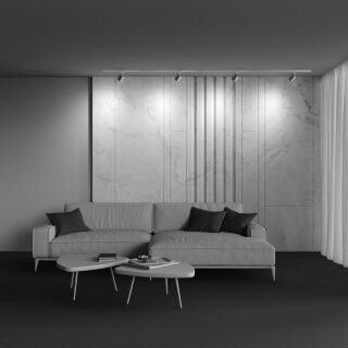 Трековый светильник Maytoni TR088-1-GX53-S