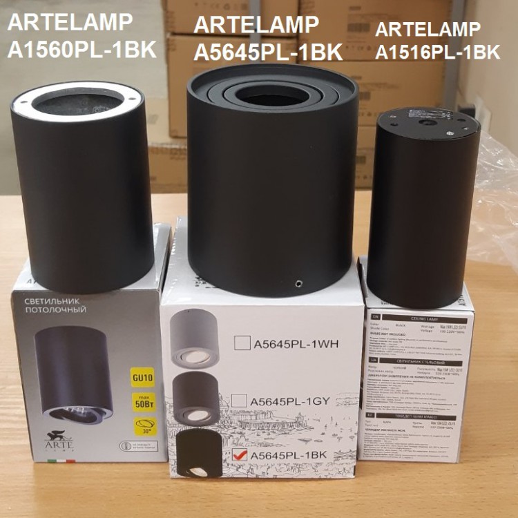 Светильник накладной ARTELAMP A5645PL-1BK