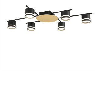 Светильник потолочный Lumion Benua 8304/6C