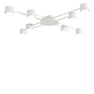 Светильник потолочный Lumion Benua 8305/8C