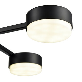 Светильник потолочный Lumion Dabra 8186/6C
