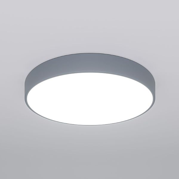 Светильник потолочный Eurosvet 90320/1 серый