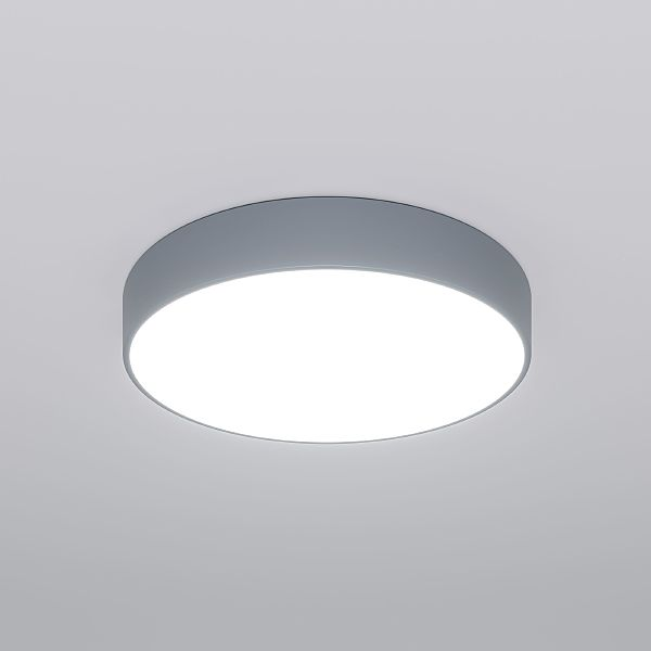 Светильник потолочный Eurosvet 90319/1 серый