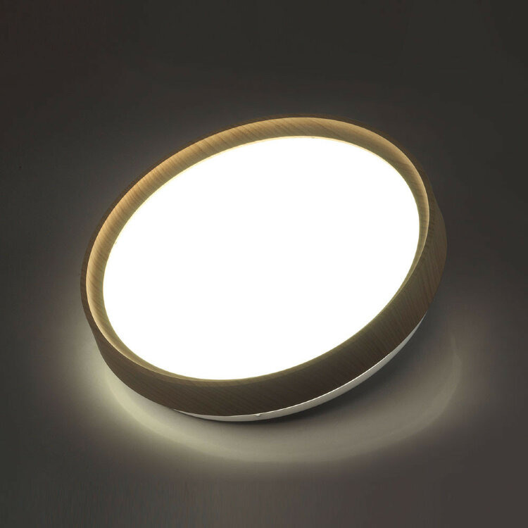 Настенно-потолочный  светодиодный светильник Sonex 7603/EL