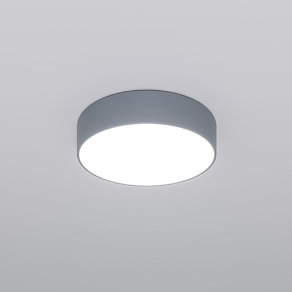 Светильник потолочный Eurosvet 90318/1 серый