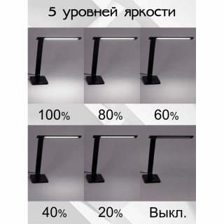 Настольная лампа CITILUX CL803081 Ньютон черный USB