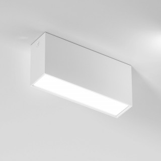 Светильник накладной 25109/LED 10W 4000K белый