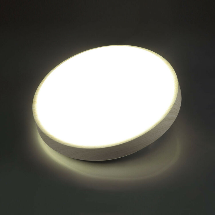 Настенно-потолочный светодиодный светильник Sonex Losta 7628/EL