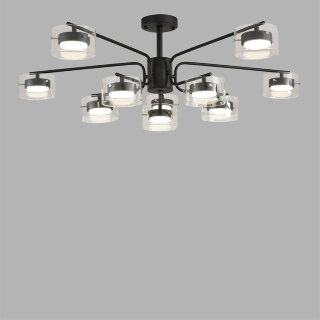 Светильник потолочный Lumion Natalina 8349/10C