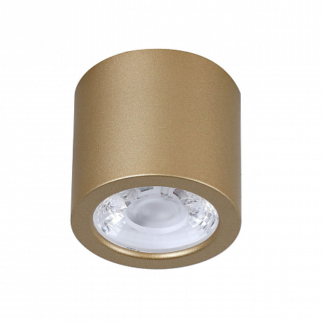 Потолочный светодиодный светильник Favourite 2807-1C