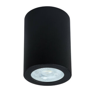 Светильник накладной ARTELAMP A1468PL-1BK IP44