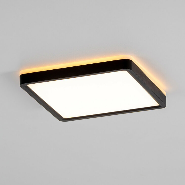 Светильник настенно-потолочный Citilux Norma CL748K201