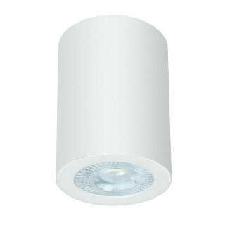 Светильник накладной ARTELAMP A1468PL-1WH  IP44