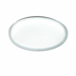 Настенно-потолочный светильник Sonex Pale Jolly 7776/ELN