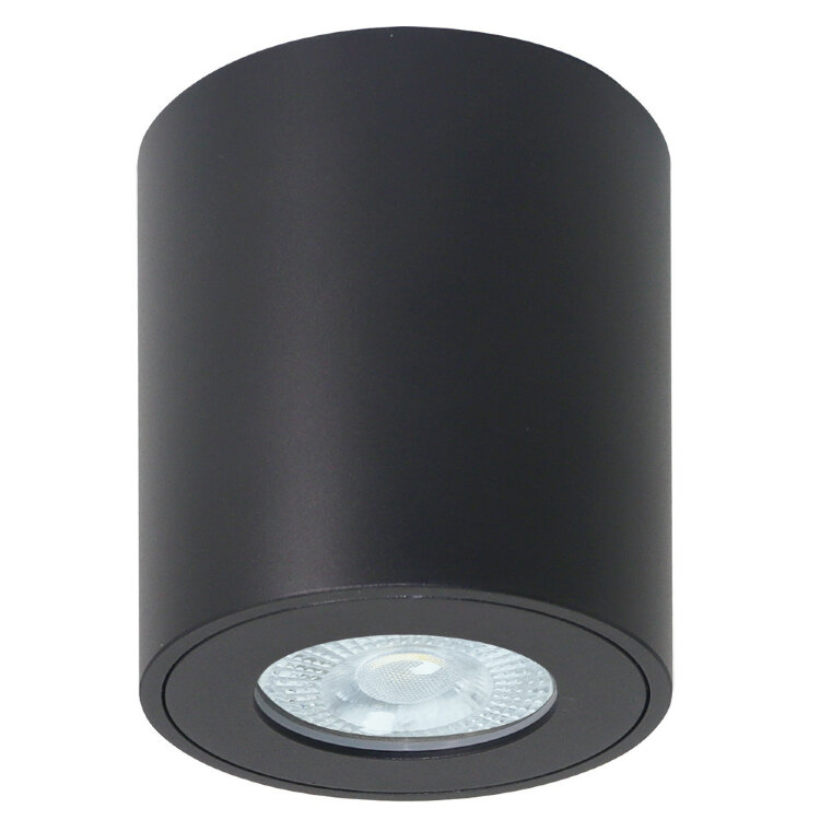 Светильник накладной ARTELAMP A1469PL-1BK IP44
