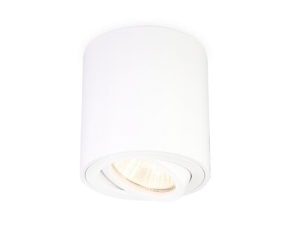 Потолочный светильник Ambrella light Techno Spot TN22701