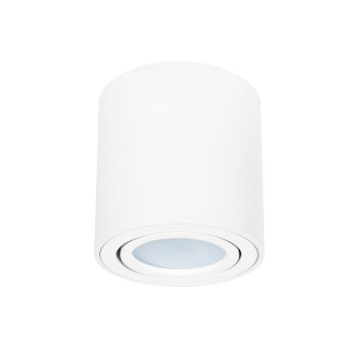 Светильник накладной ARTELAMP A1513PL-1WH