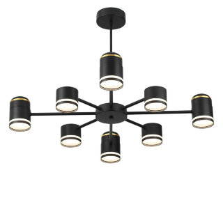 Светильник потолочный Lumion Virsava 8234/8C