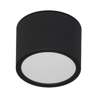 Светильник накладной ARTELAMP A5543PL-1BK IP44