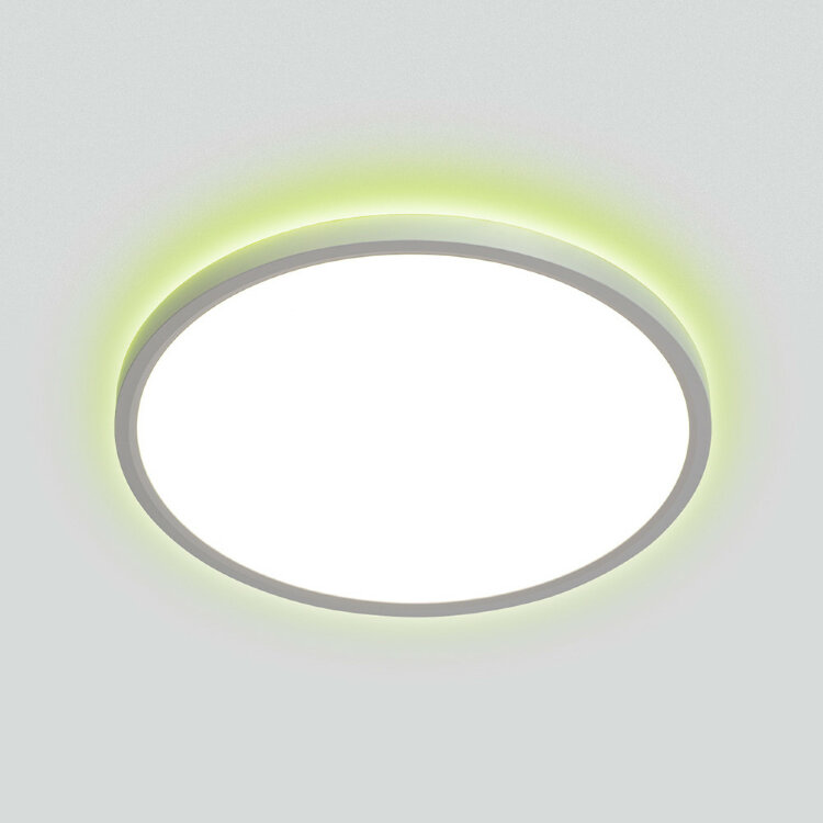 Светильник настенно-потолочный Citilux Norma CL749320