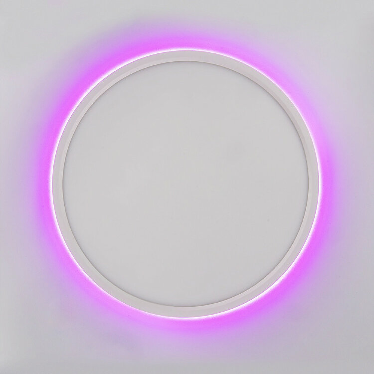 Светильник настенно-потолочный Citilux Norma CL749320