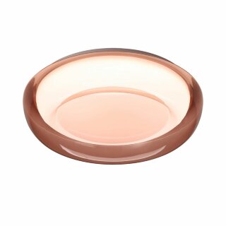 Настенно-потолочный светильник Sonex Color Portman 7778/DLN